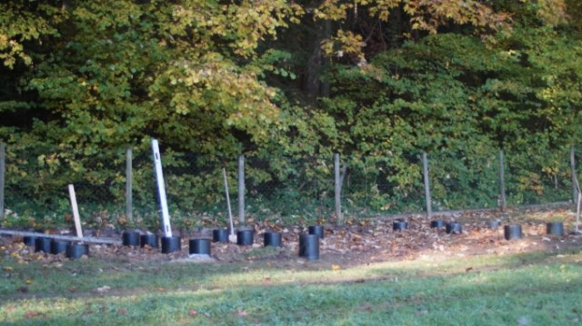 Jahresbericht - Hundereferat  